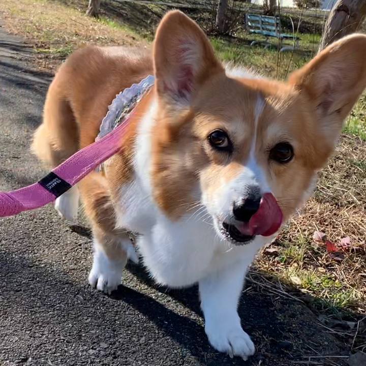 87f28010 3f21 4811 b146 94c8a40622d2 1671447293389