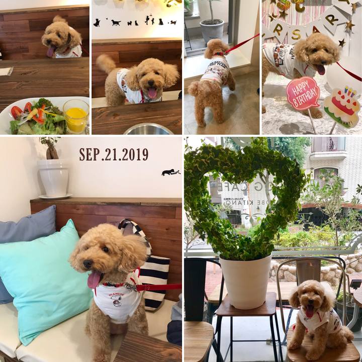 87f30985 2edc 4233 b42f edb02c03f366 1569056241492