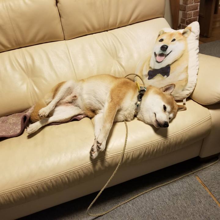 87f31121 f7fd 426f a347 1d128aa7499f 1629464172933