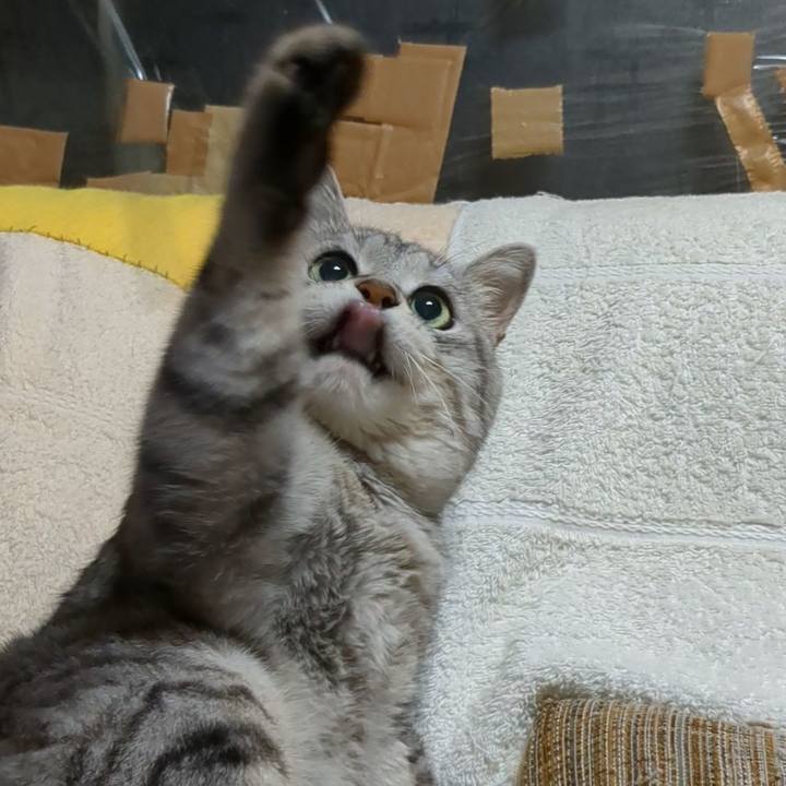 87f37256 9843 4d6b a4fb e3bd2d62b851 1727973859230