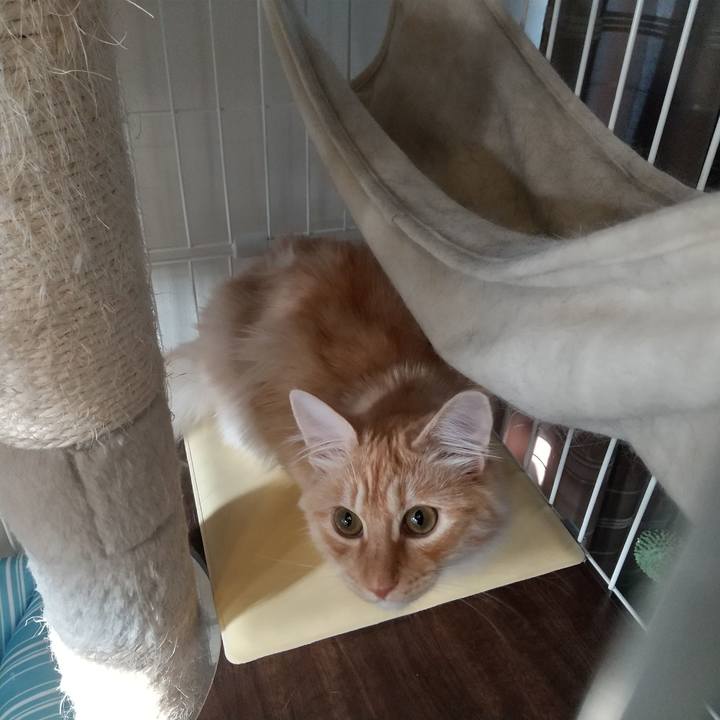 87f3a9d7 7b5f 4daf 9e4d 4c555e5337fb 1620079521253