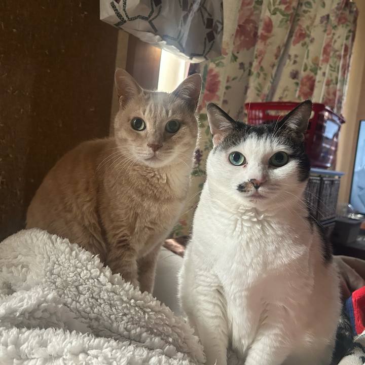 87f3aa21 7991 4d00 a9bc 81e5fd1e9ee6 1768273176319