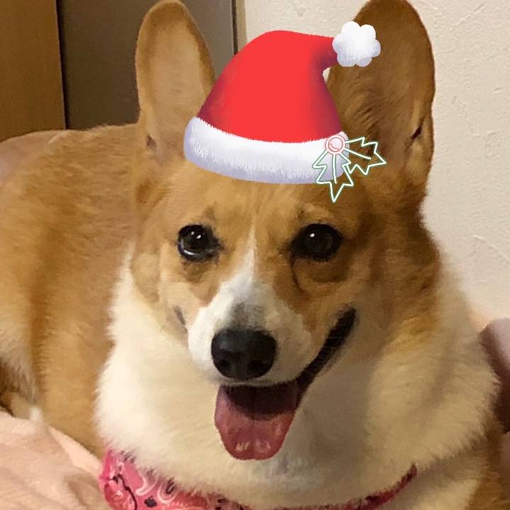 87f3d755 b2b2 4792 93ba a02c747b8d56 1703465756123