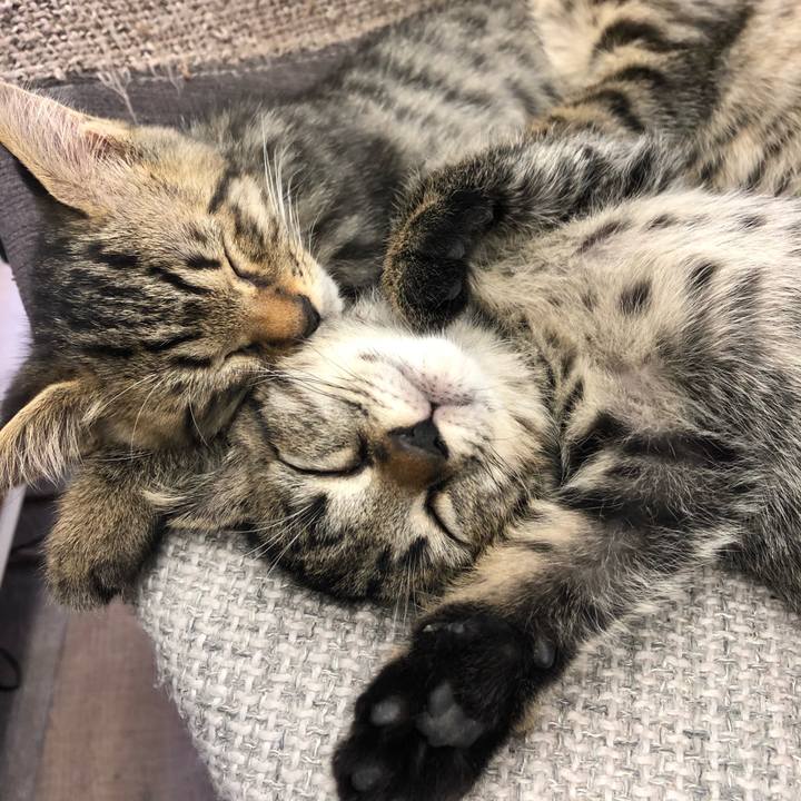 87f3df45 3b7d 4444 ae9c d2fcbc1dee9f 1603003275355