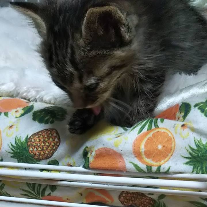 87f41253 3ac7 4eef a6ee e1b80e411710 1632138078309