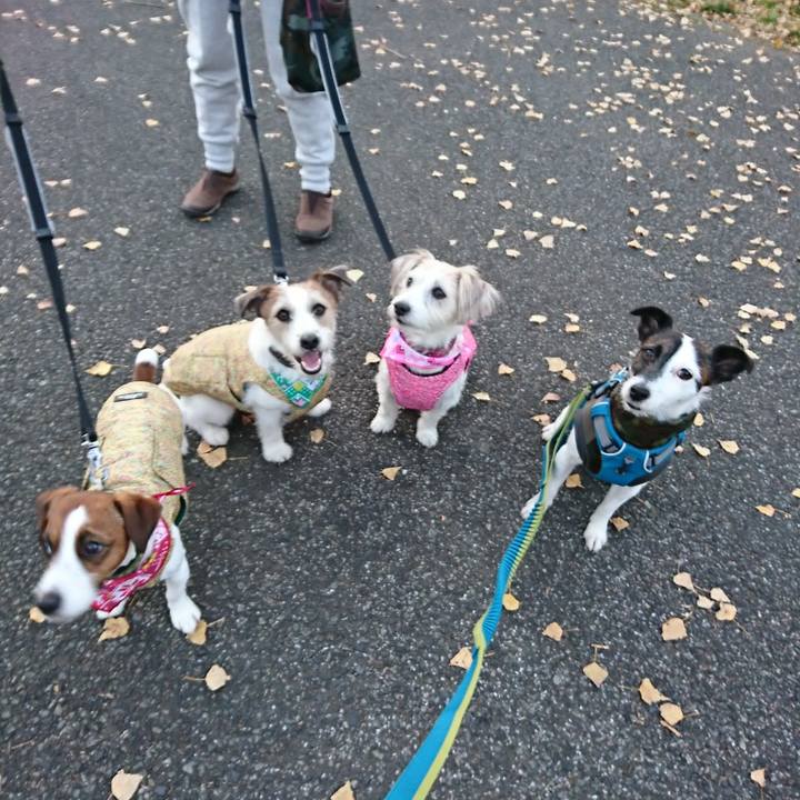 87f43919 b787 437f 9429 664672189782 1512199461377