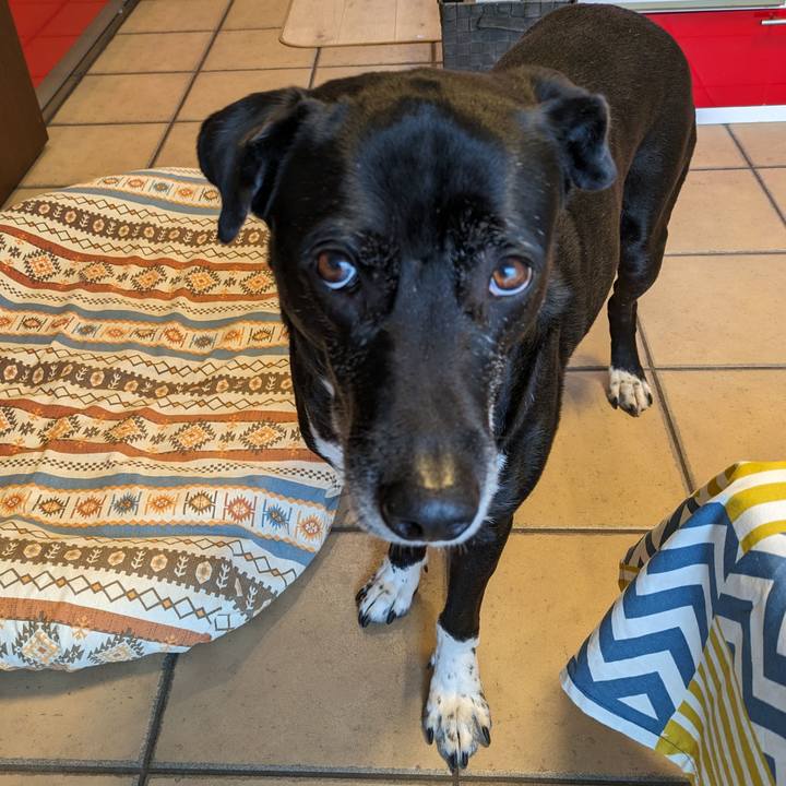 87f44b11 faaa 403f 926b d3cbbbc65a6f 1709859254405