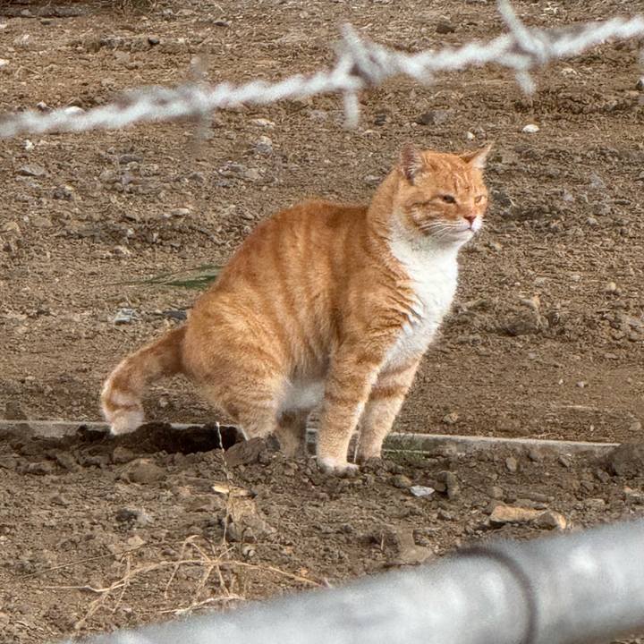 87f4ab2e 2031 4aaf b2d1 418d0d9f3287 1752547112567