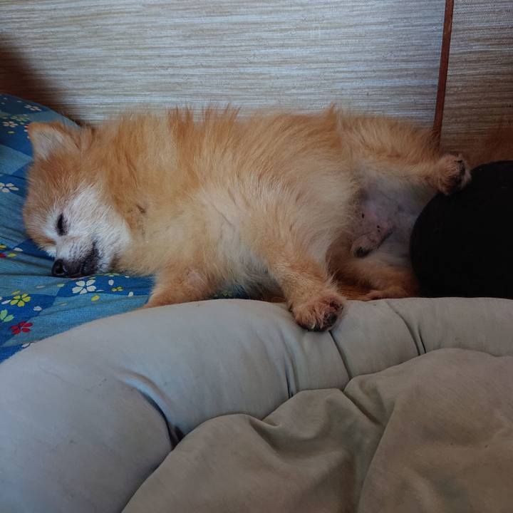 87f4ac01 705e 4af2 93a5 cd5f56200a7f 1598485015972