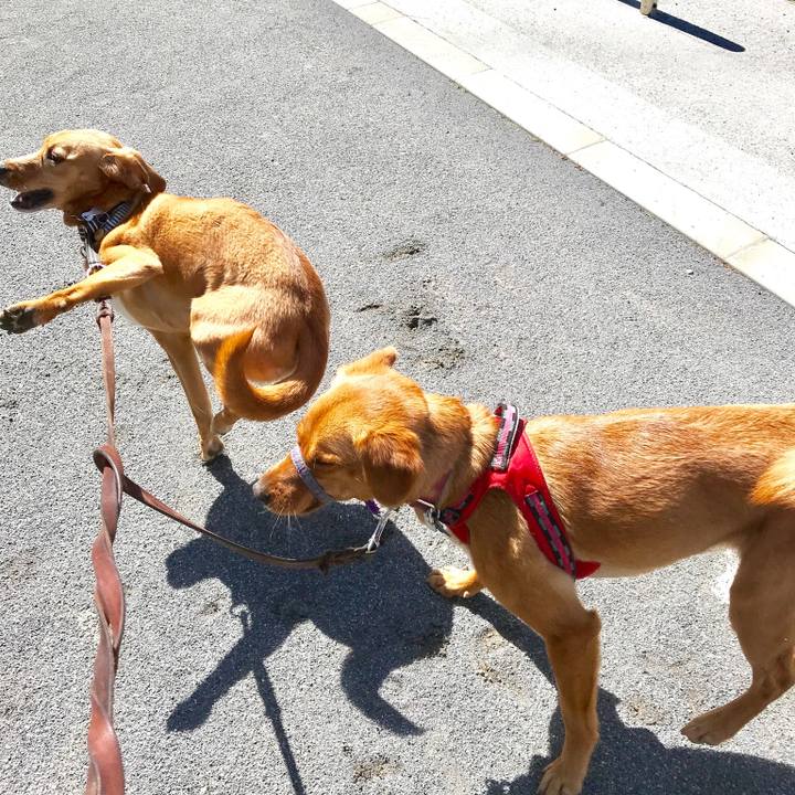 87f4beb6 d949 4a95 9417 fc8c0219decf 1524705162391