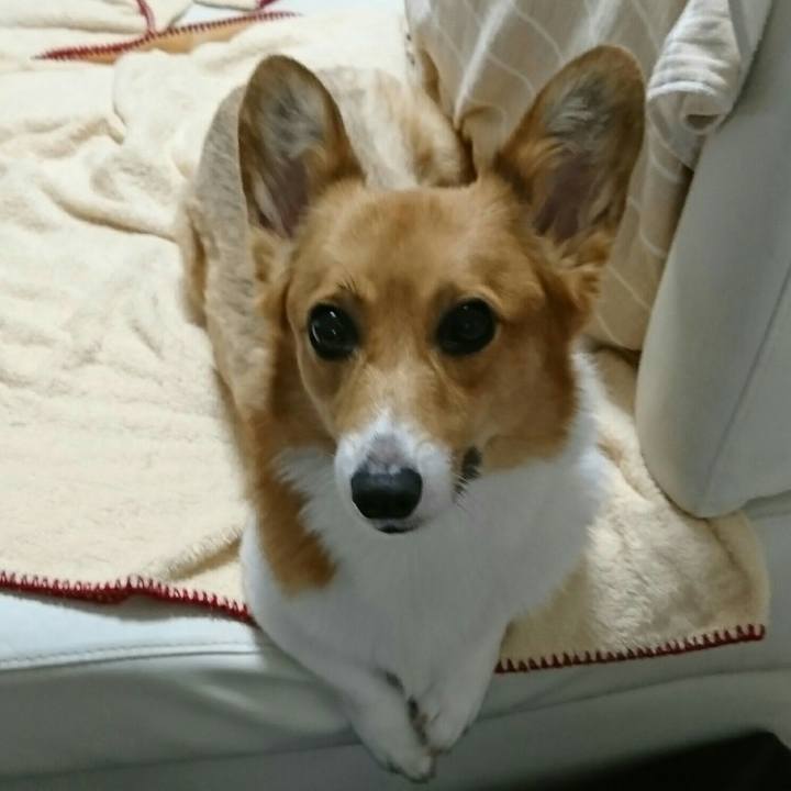 87f4da9b edf5 49d3 9666 d3d4be4f17d1 1535604185407