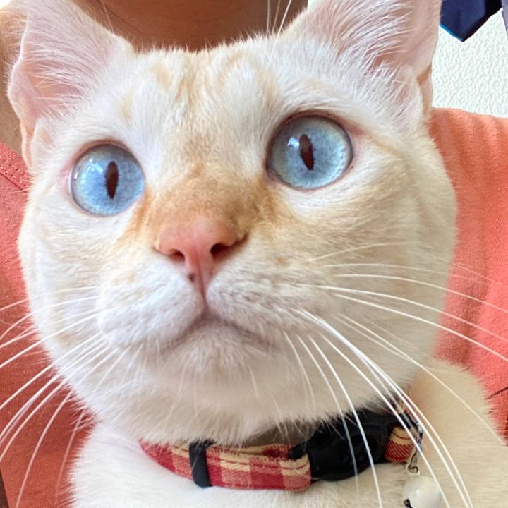 87f5213a 5c21 4ece 8faa d5061e509428 1699164590761