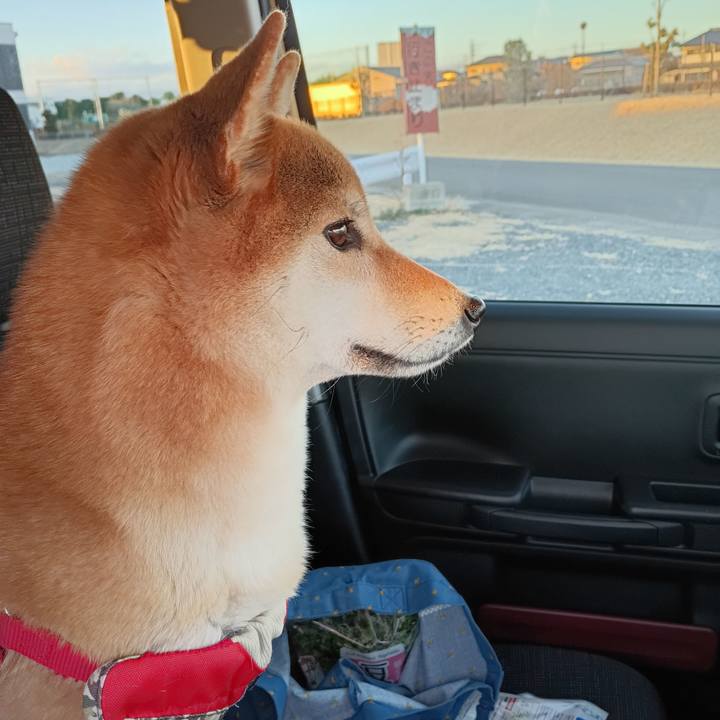 87f52494 d673 4b84 9e74 73cce751e23e 1739275740277