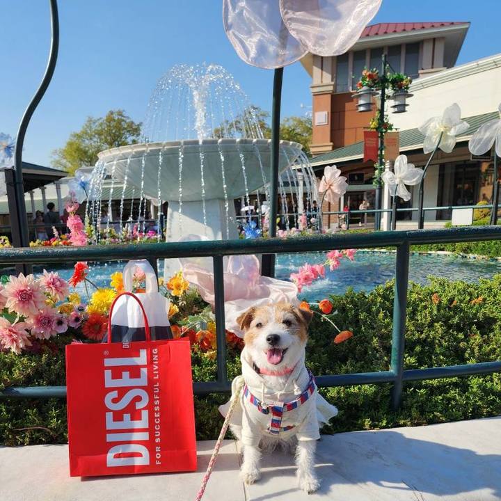 87f5315e e815 4c37 abd4 3389a83bbdec 1746020104456