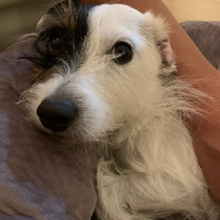 87f54066 8751 4835 8b0e 630e6098a29c 1606053313506