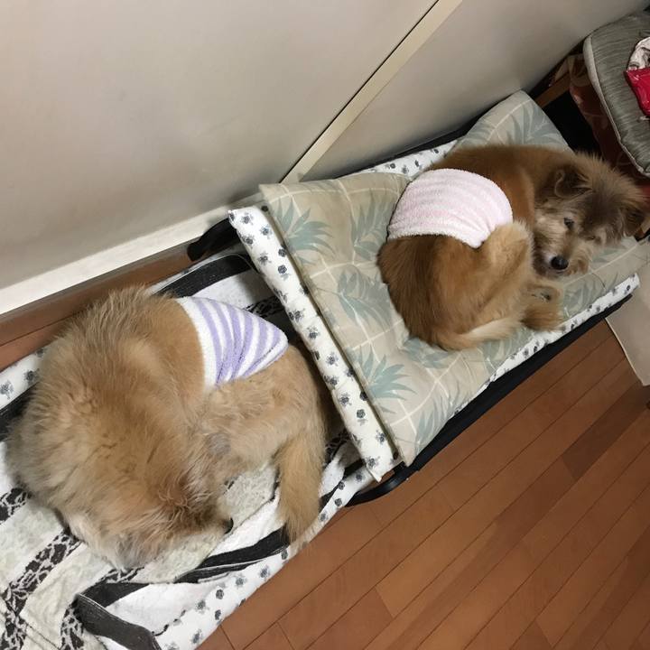 87f5430e 5759 4cfc bb75 3b02853690a5 1607127418626