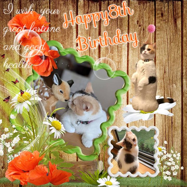 87f54b9d 4937 49c6 8e2c 0fb94397ae37 1754305972434