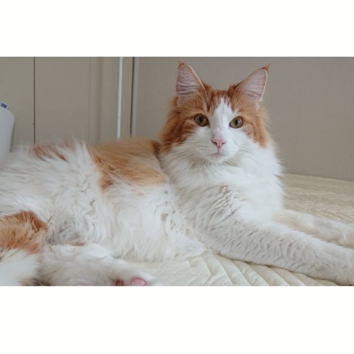 87f5630b a1cf 4ed0 a126 05d91dbc8b89 1522033526228