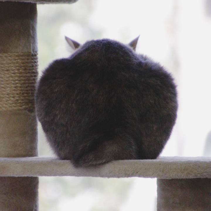 87f56d15 bfa9 4a13 877c fd403e2846cd 1572581978715