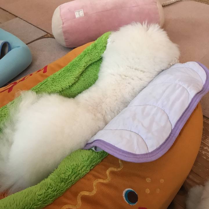 87f593a3 1419 4ea2 9a1c 6a384270f2cc 1559812289169