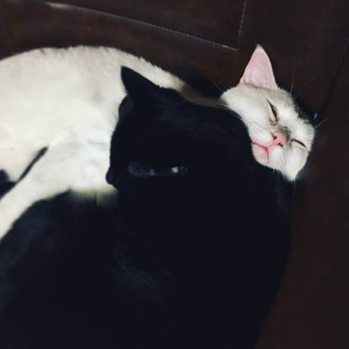 87f5aa1b 70a2 4135 b971 c5d633028d23 1511699220862