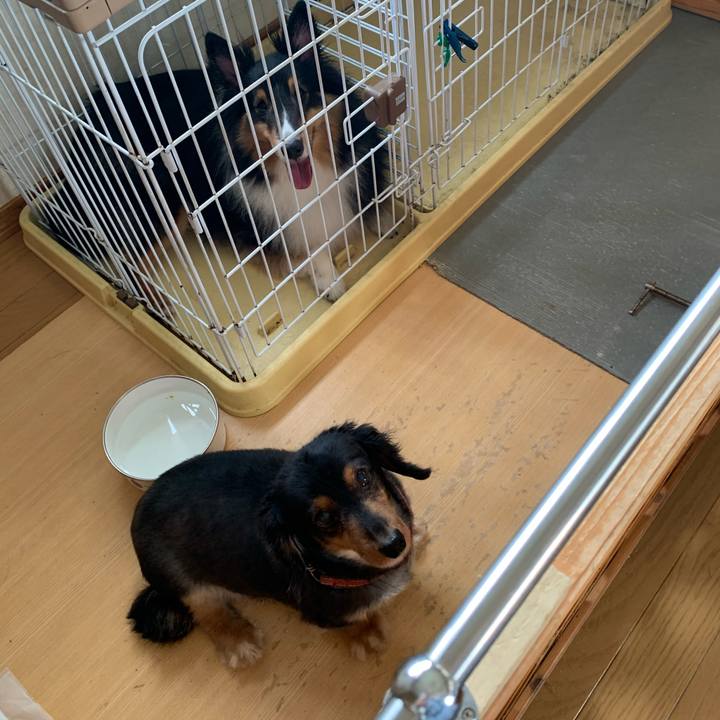 87f5b385 5b06 40bb a581 c6734d0c6062 1595197026287