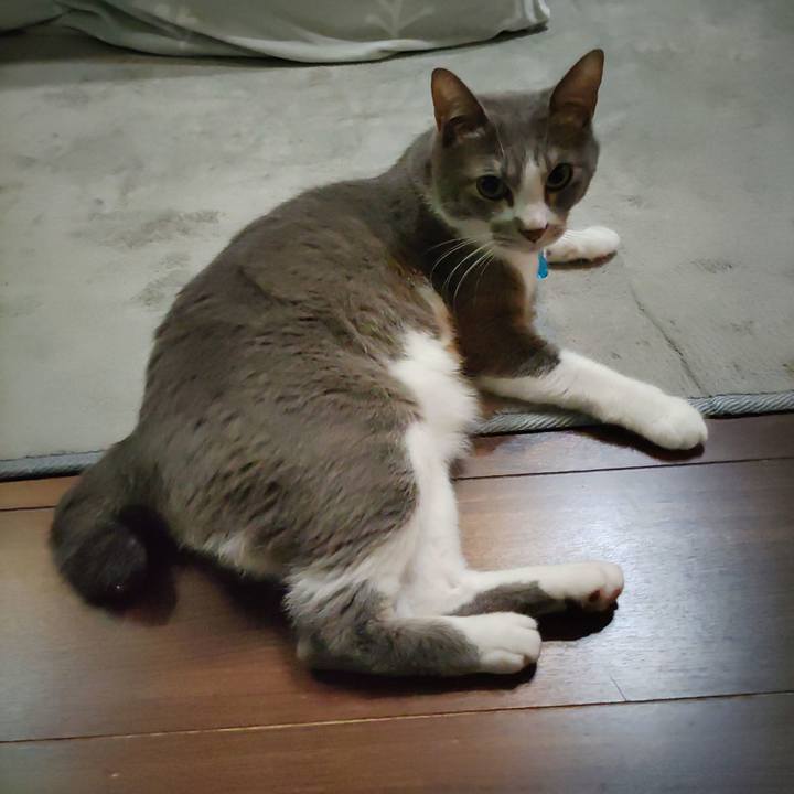 87f5d389 a8e7 4ef1 88b3 d6076a626f6f 1699481294247