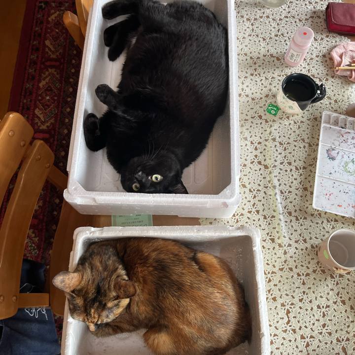 87f60013 953c 46dd b4db d74ec6b0c636 1774749793716