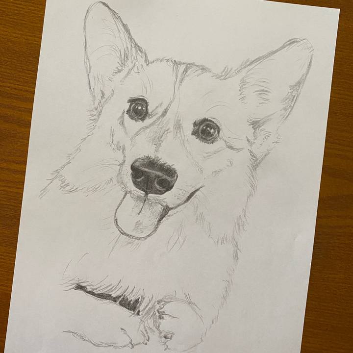 87f604d3 f3bc 4c0b a8c1 4b02be8d5ea2 1598532212199