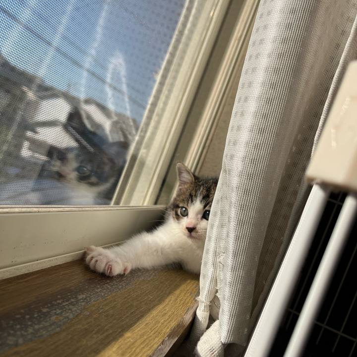 87f61552 908b 40b3 a999 38e1ddd9049e 1765075723324