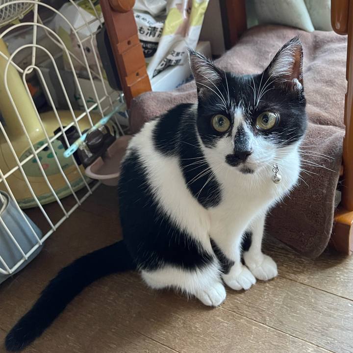 87f646aa 7874 4381 9321 3788762d2c1c 1752101757929