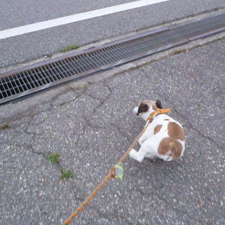 87f647f1 5a58 42c5 915f 5a82c2775263 1530443987736