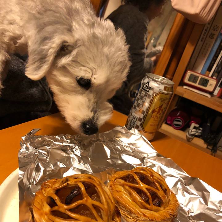 87f65714 c8d7 489d a114 9c4c7c43bdb8 1641895279244