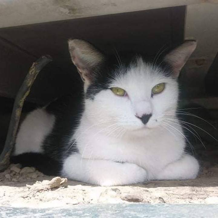 87f67d29 797b 44a9 8c05 c27d3d1d5a33 1633662454063