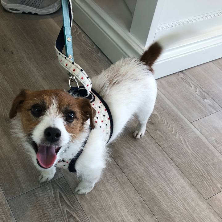 87f68413 1d73 4c08 bc72 72d884a64c80 1548848227694