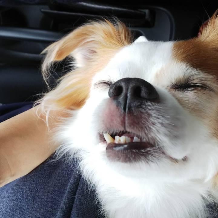 87f6d591 cf33 48d3 824d d5b99370fb70 1538658897175