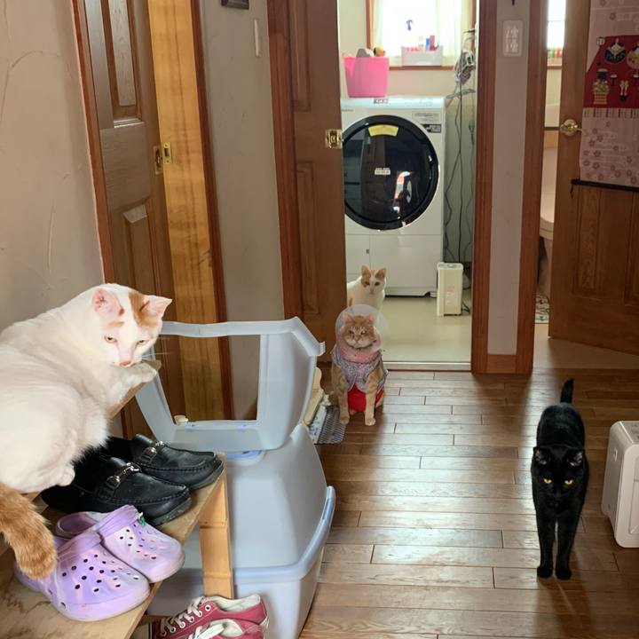 87f6d61c 13df 41f2 af29 7016f14d63c8 1622846467658