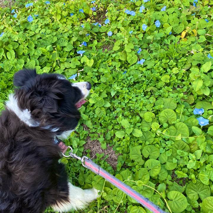 87f6fb71 005d 473a 96a5 519fa650698d 1697261025393