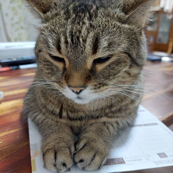 87f765f8 8067 45fa 9e25 dea021851d77 1629287619514