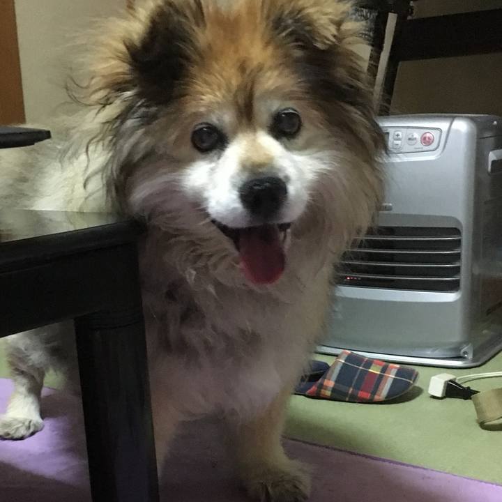 87f7691c ce17 4246 9a3f 3a6cf70fe954 1592394447395