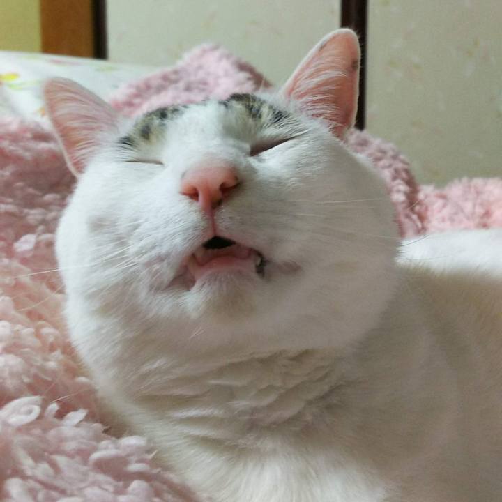 87f76c20 05cb 4a73 ad4d fff1dd476115 1574003683225