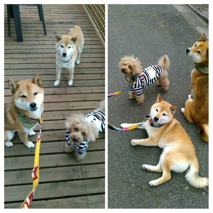 87f79837 e7b5 4470 a8cf f4d9d1cca91e 1529311779425