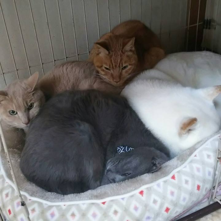 87f7a9a1 628b 467a a913 8da4d80fca8a 1583414237343