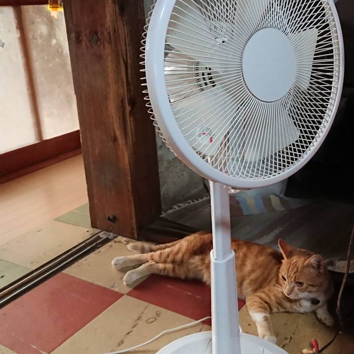 87f7c6df 2217 4f17 92be 1b502c175217 1564863941134