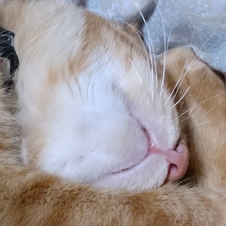 87f7d165 4524 4fcb 8346 59596811feb9 1666960415498