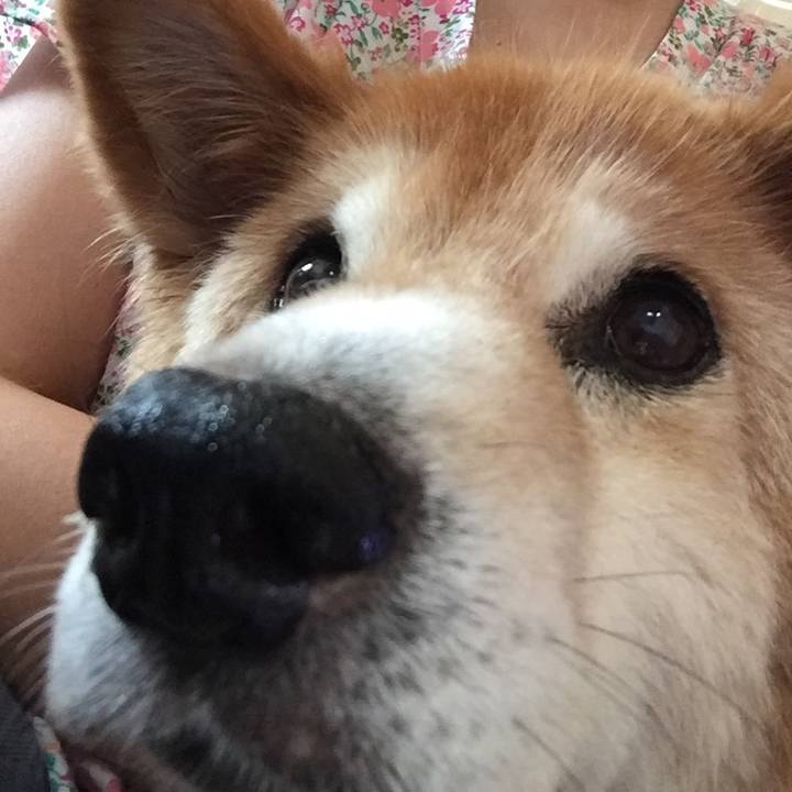 87f7e00d 978e 448b 951b b8fba0a1a0c9 1523519321347