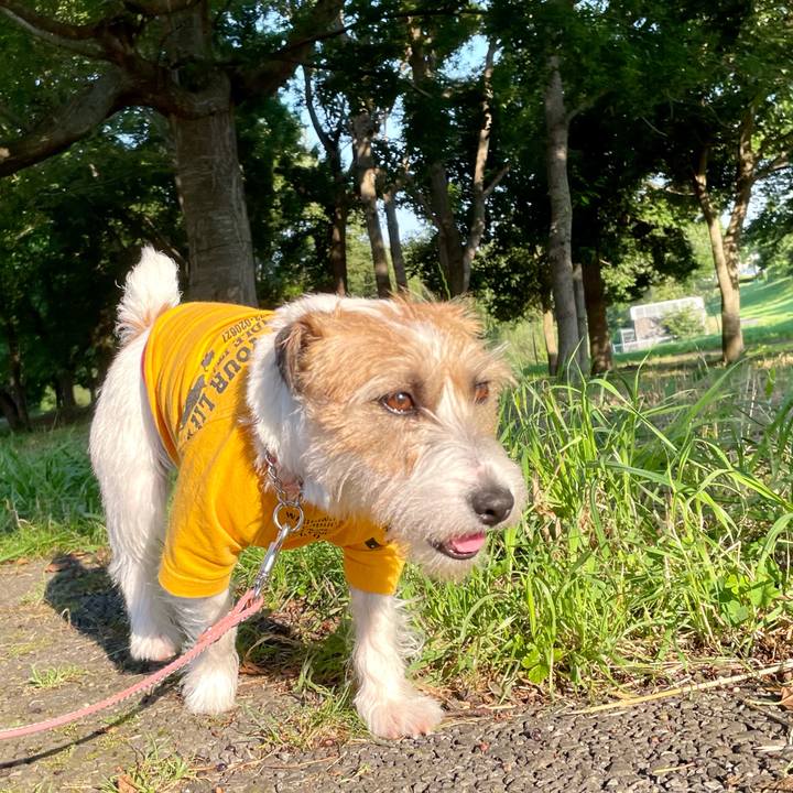 87f7e30c b90a 4fb2 83dd 632a2b794501 1623230205741