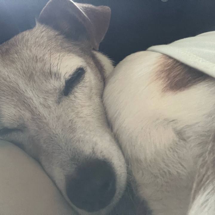 87f7ebbf c93b 422b 89de 125069e9ac8b 1761435885649