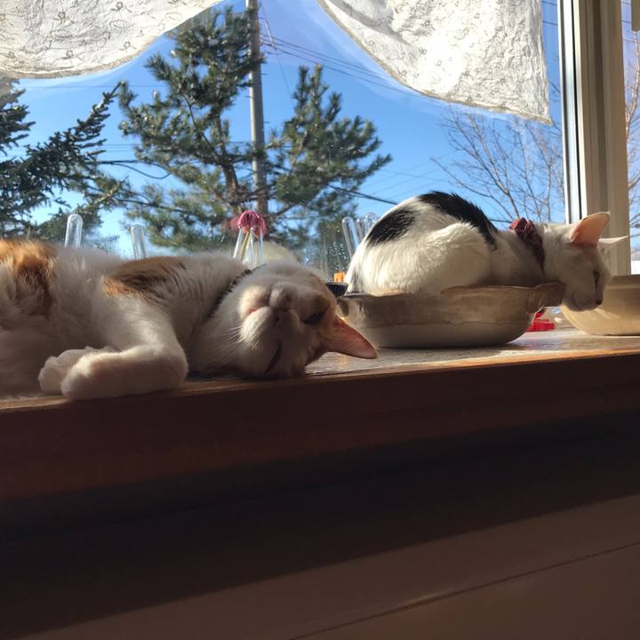 87f7fc78 dcb3 488b b79e aecc68f530ee 1619387880638