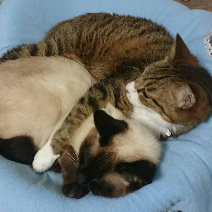 87f85a5e 9a75 4311 81bf ab2b2e6ec738 1532263252132